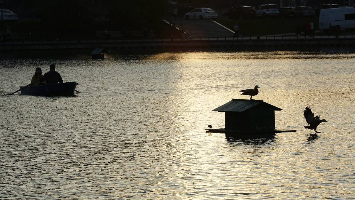    Фото: Алексей Орлов / Вечерняя Москва