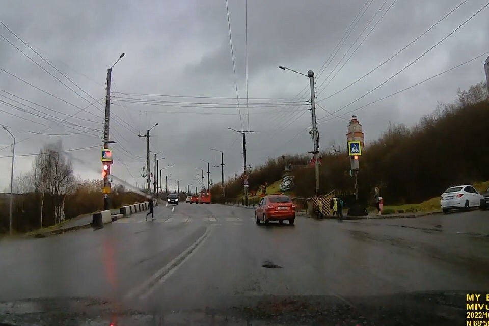     Мужчина получил штраф. Фото: скрин видео УМВД по МО