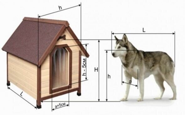 Чертежи с размерами будки для собаки – 90 фото и схема сборки конуры для питомца