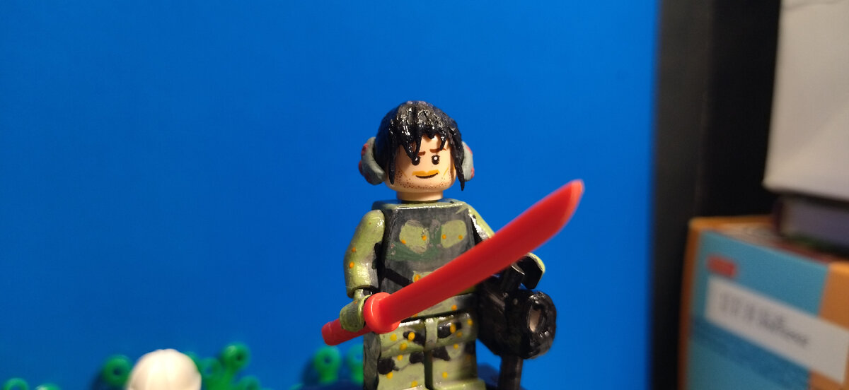 в дополнении 