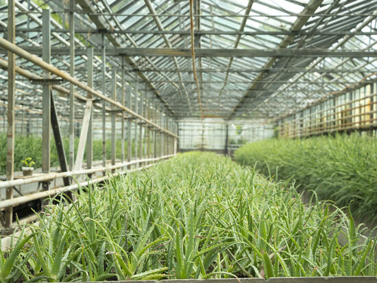     Фото: Министерство промышленности и энергетики области Саратовской области