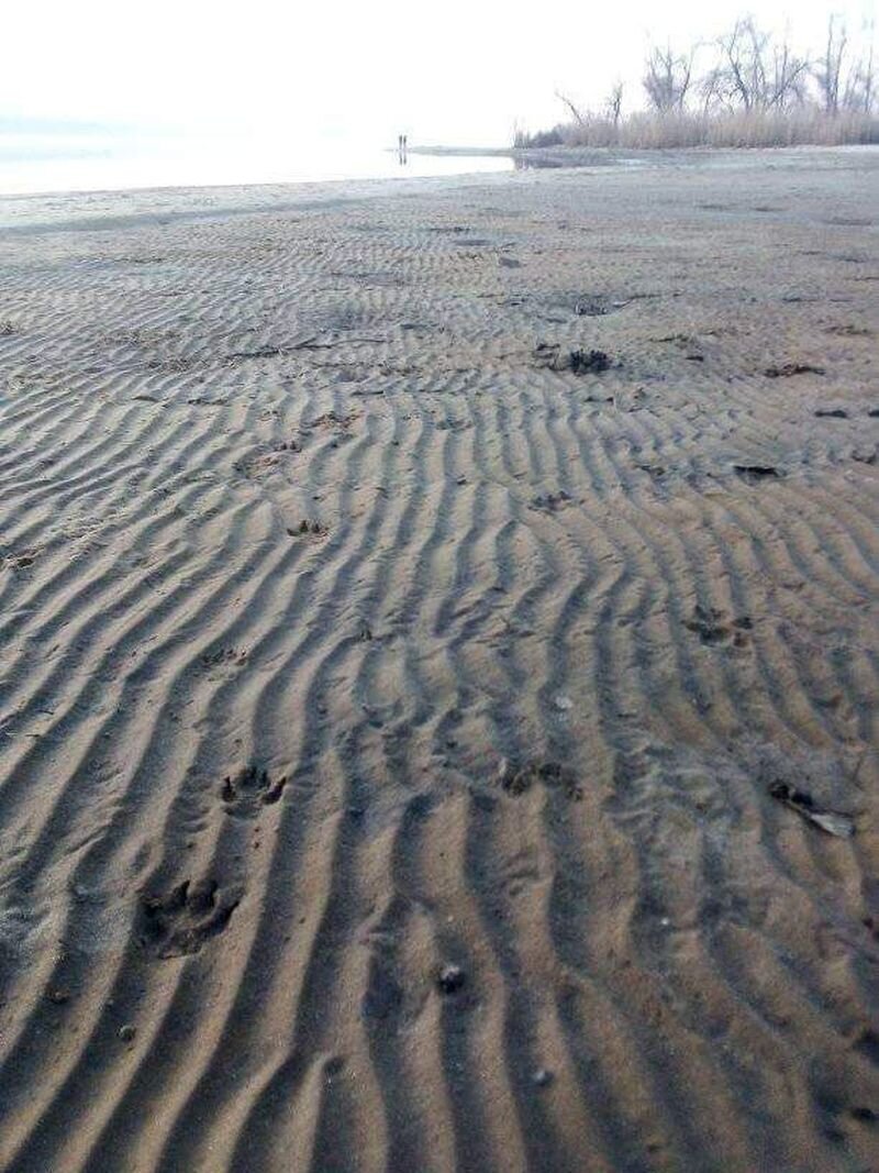 Обмелевший этой зимой Днепр. Источник: t.me/legitimniy.