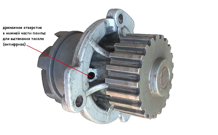Дренажное отверстие в нижней части корпуса помпы для аварийного вытекания тосола (антифриза) в случае повреждения ее сальника - сигнал для водителя, что ей пришел конец