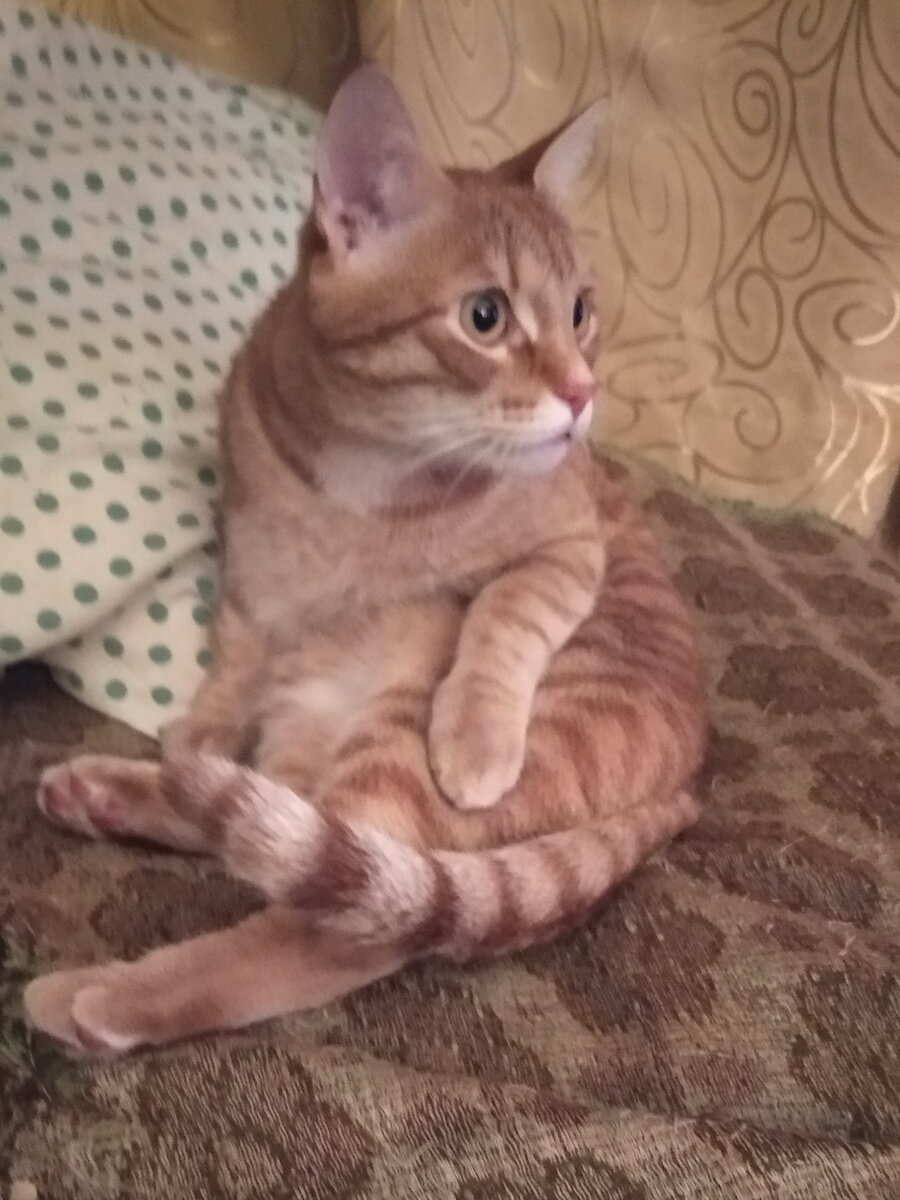 Личное  фото. 