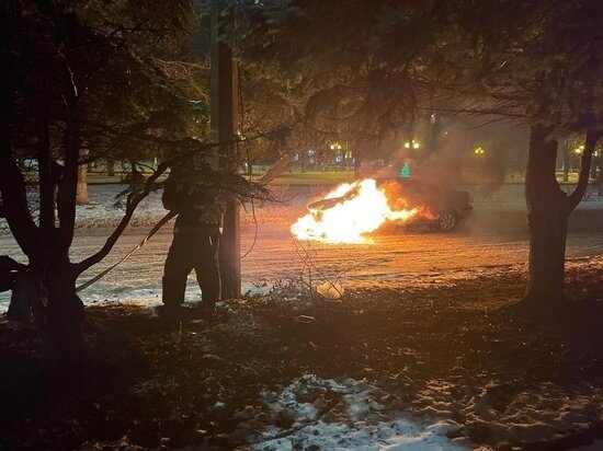     Фото: ГУ МЧС по Курской области