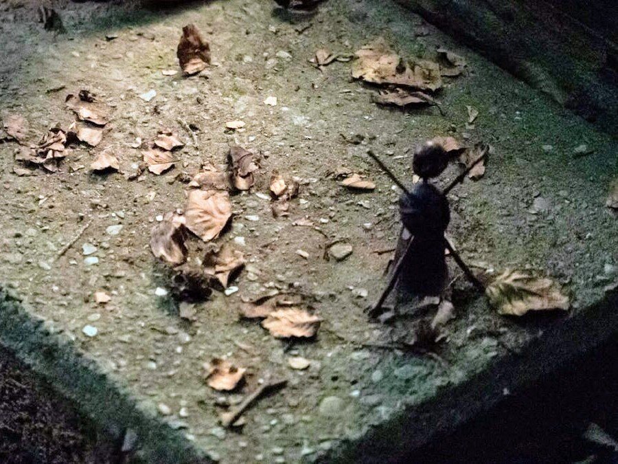 Кадр из сериала «Каштановый человечек», 2021 год, режиссеры Каспер Барфоэд, Миккел Серуп