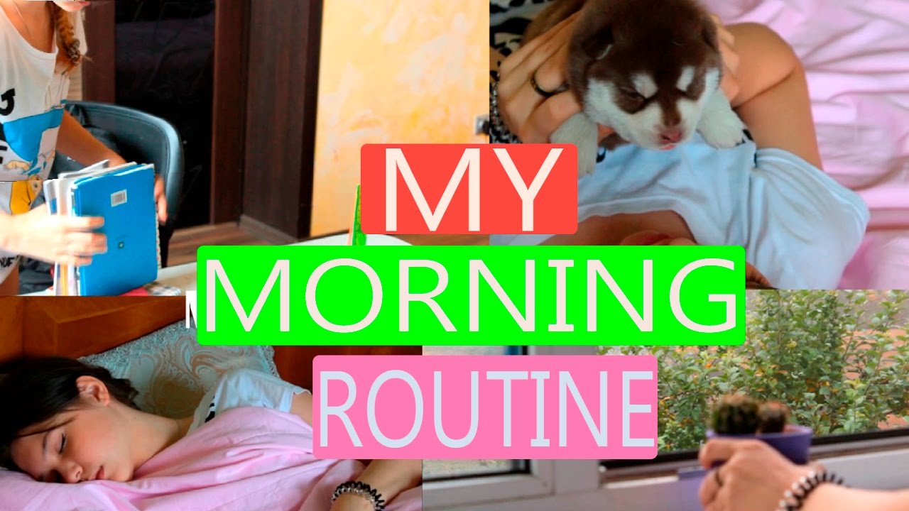 Meet my in the morning. My morning routine моё утро. мое школьное утро. утро в школу morning routine. my morning routine.