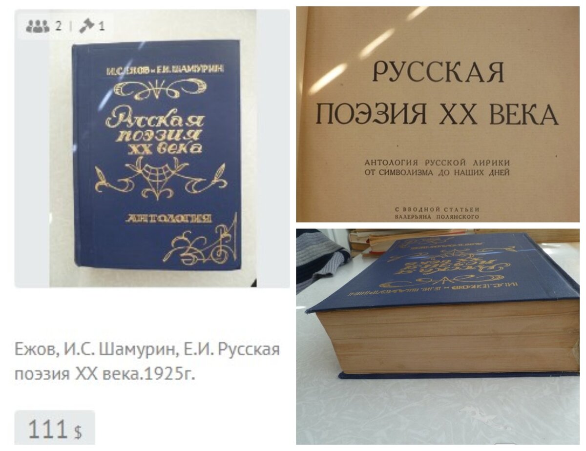 Ежов, И.С. Шамурин, Е.И. Русская поэзия XX века.1925г.