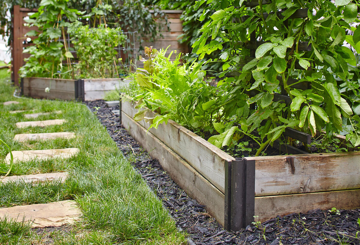 Бордюры для клумб: 17 способов добавить эстетики садовому пространству — натяжныепотолкибрянск.рф