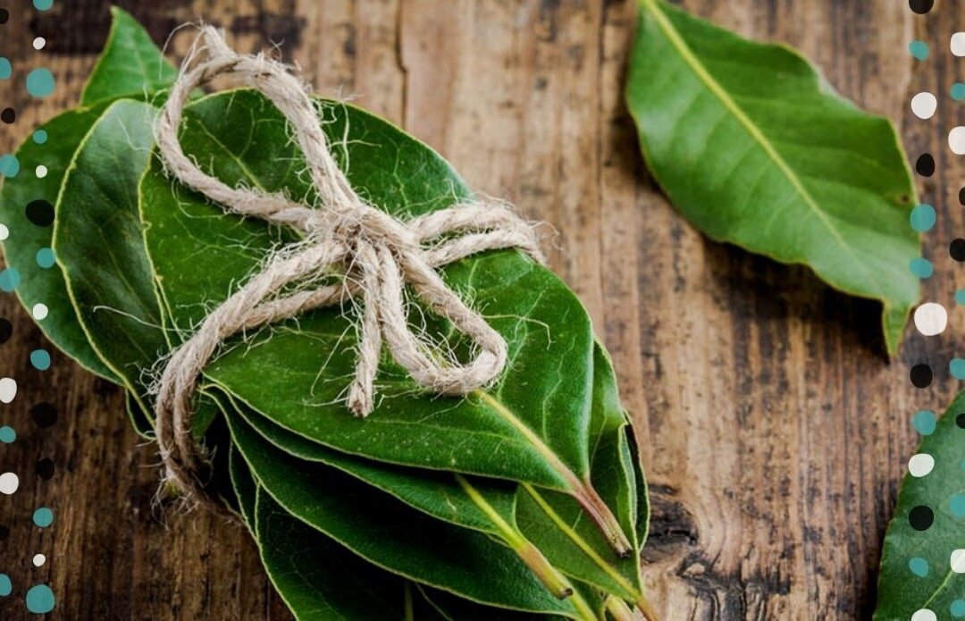 Лавровый лист есть в каждом доме, поэтому вам не составит труда провести любой ритуал из приведенных ниже: 
1. Разложите по одному лавровому листу в каждом углу комнаты, в которой ваши домашние проводят больше всего времени – лавр прогонит болезни жильцов вашего дома.

2. Чтобы быстрее привлечь позитивные изменения, разотрите пальцами “лаврушку”, вдохните аромат и вслух, громко озвучьте свою просьбу Высшим Силам.

3. Положите лист лавра под подушку, загадайте желание и ваше подсознание начнет строить план по его исполнению.

4. Если четыре листочка положить под коврик возле порога, они принесут успех. Листочки должны быть направлены черешками один к другому, фигура будет напоминать крест. Один раз в месяц, на новую луну, меняйте листья на новые.

5. Прикрепите над входными дверями пять лавровых листочка, связанных красной ниткой, и тех, кто живет в этом доме будет сопровождать успех во всех делах.

6. Ритуал для привлечения денег: возьмите один листик лавра, капните на него апельсиновое эфирное масло и поместите в то место, где обычно держите сбережения – он будет притягивать туда новые финансы, их поступление будет увеличиваться.

7. Для того, чтобы очистить жилище от негатива, подожгите лавровые листья и окурите образующимся дымом все помещения в своем жилище.

8. Напишите желание на лавровом листе, потом киньте его в огонь – и все, что задумали, со временем сбудется.

Также 27 числа каждого месяца вы можете обращаться к Высшим Силам, с помощью древних мини заклинаний - шепотков. Вот, к примеру, если ваше желание связано с деньгами, то можете проделать сегодня следующий обряд:

Наговорите шепотом на стакан с водой этот мини-заговор - "Был царь богат, а стал богаче втрое, так и мне (имя), возыметь и более того и в нынешний день, и в грядущий. Аминь.", часть воды выпейте, а остатки ее побрызгайте на кошелек или банковские карты.

Когда магия осуществляется через заговаривание воды, действие обряда оказывается особенно сильным. Ведь тайная сила, несущая исполнение желаний, в этом случае воссоединяется с человеком напрямую.

И не забудьте обязательно поблагодарить Вселенную и Небесных помощников за помощь и чудесные события, которые совсем скоро начнут происходить в вашей жизни. Верьте в могущество и доброту Вселенной и тогда вы неизбежно достигните своей мечты. Простых слов "Благодарю, Вселенная!" будет вполне достаточно для сохранения баланса в энергообмене "получил - отдай что-то взамен"