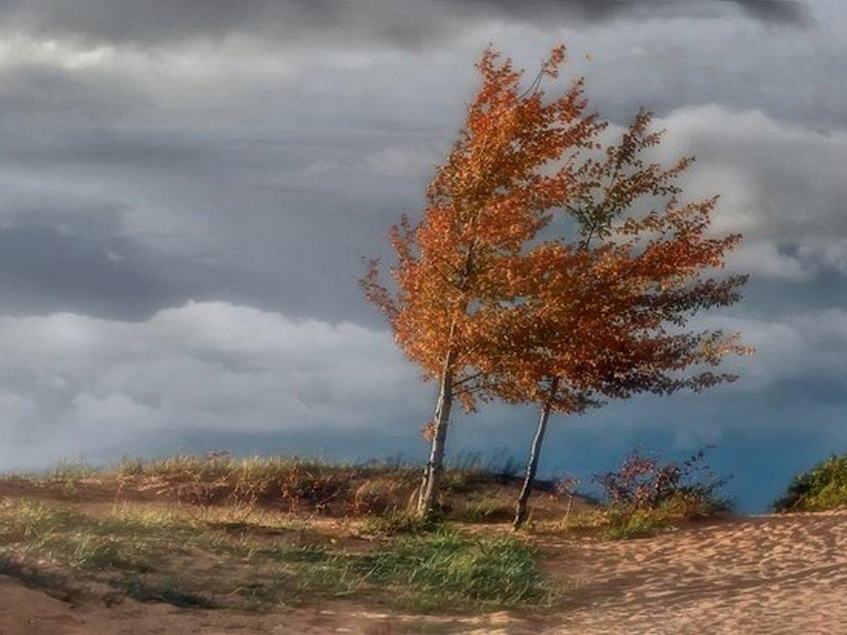 усиление ветра. фён ветер схема. самум (ветер). сухой теплый и порывистый ветер. легкий ветер.