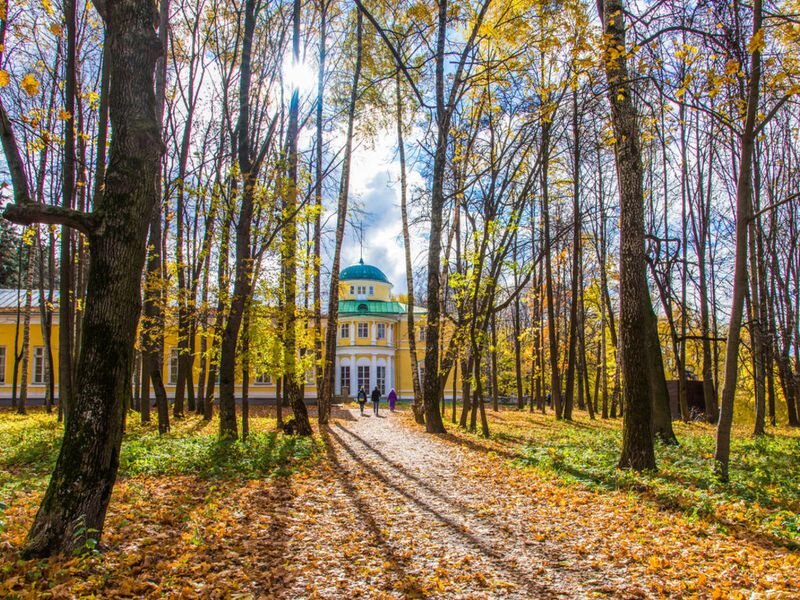 Фото: открытые источники 