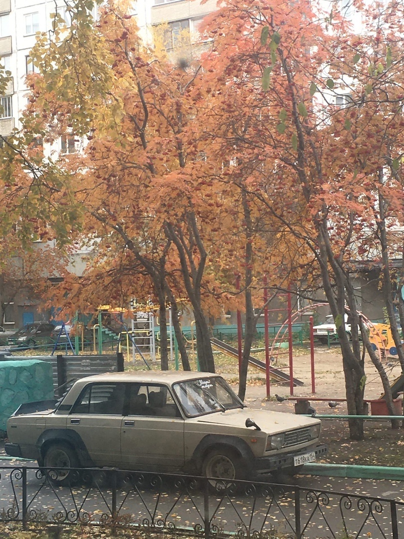 Че за соска...