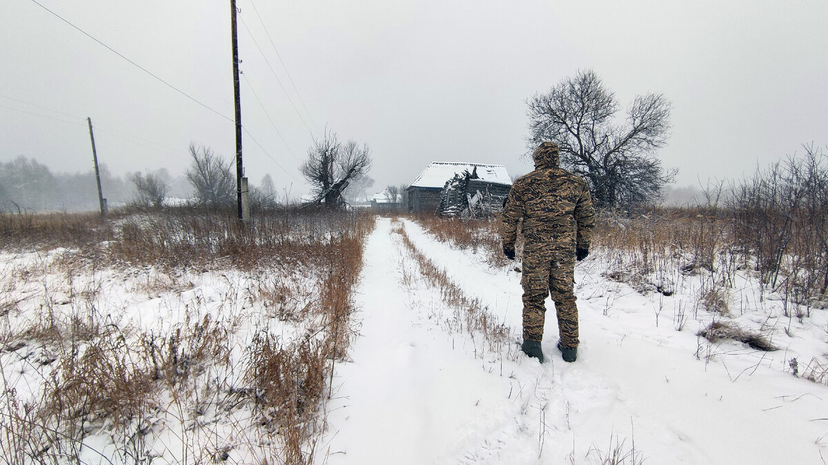 Кто бы мог подумать, что в этом селе есть жизнь? До ближайшего населенного пункта порядка 15 километров через непролазный лес.