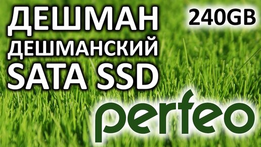 SSD диск Perfeo 240GB PFSSD240GTLC