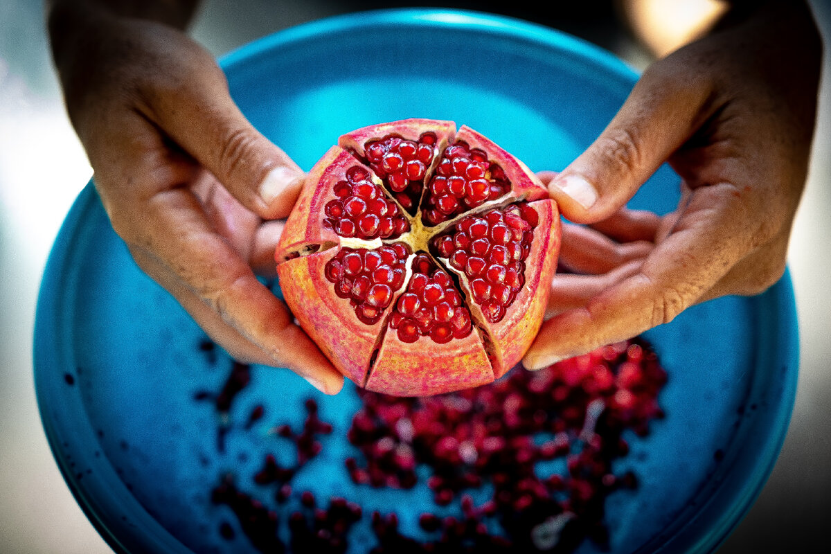 Photo by  zvika smaya: Pexels