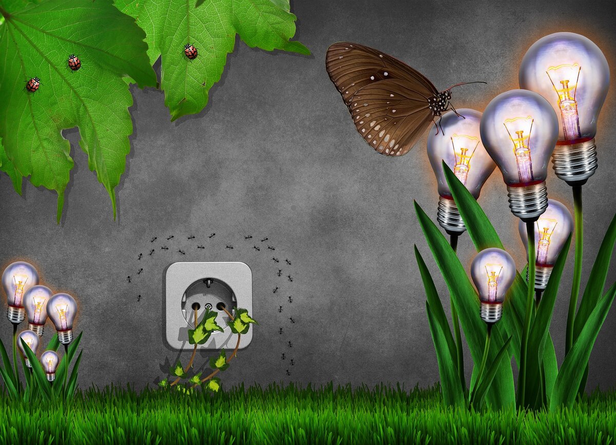 Природа всегда возращает то, что мы ей даём.