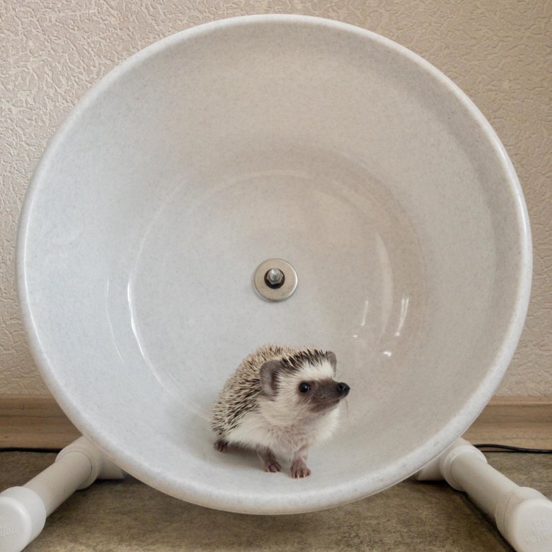 Сплошное колесо для ежей