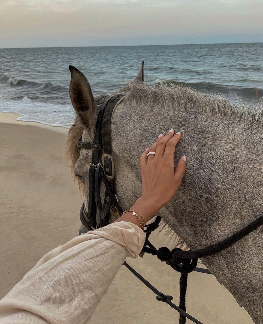 Фотография взята для иллюстрации 