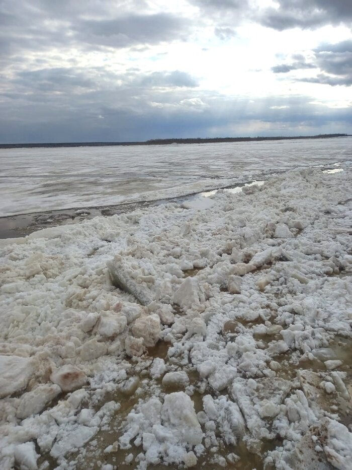 фото с яндекс картинки