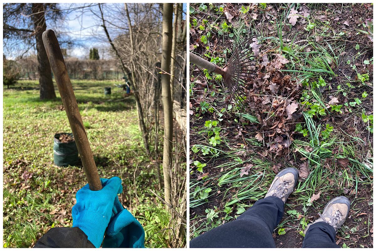 Работа в саду в апреле >>