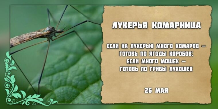 Повод выпить в мае. Календарь поводов на каждый день от Русской Дымки