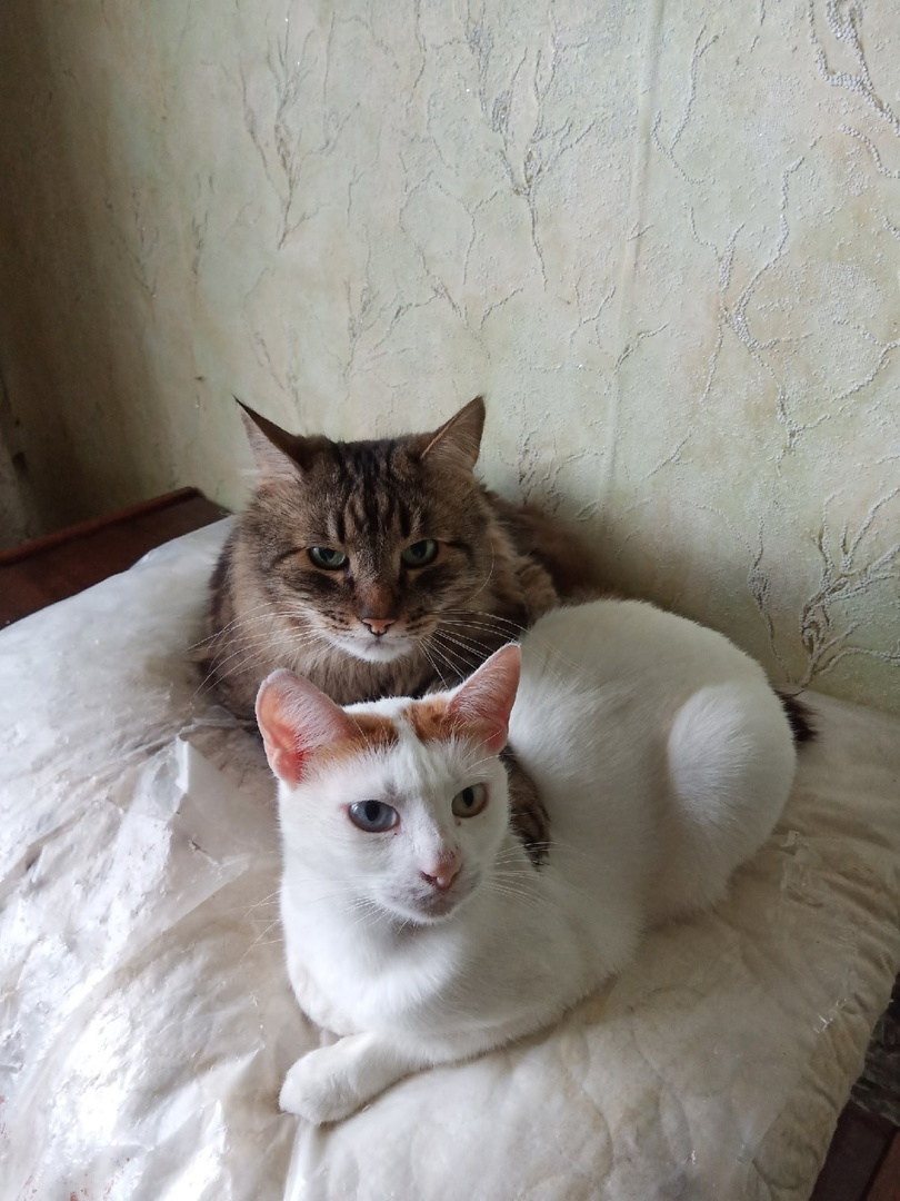 Фото из архива автора