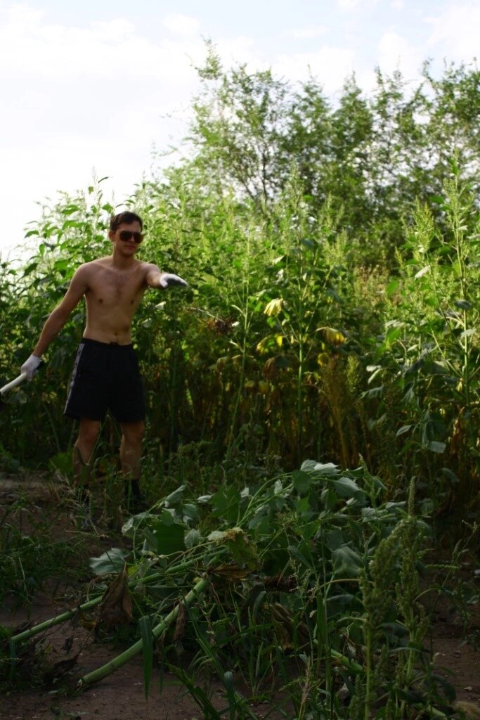 За лето так зарос сорняками, что их пришлось вырубать топором