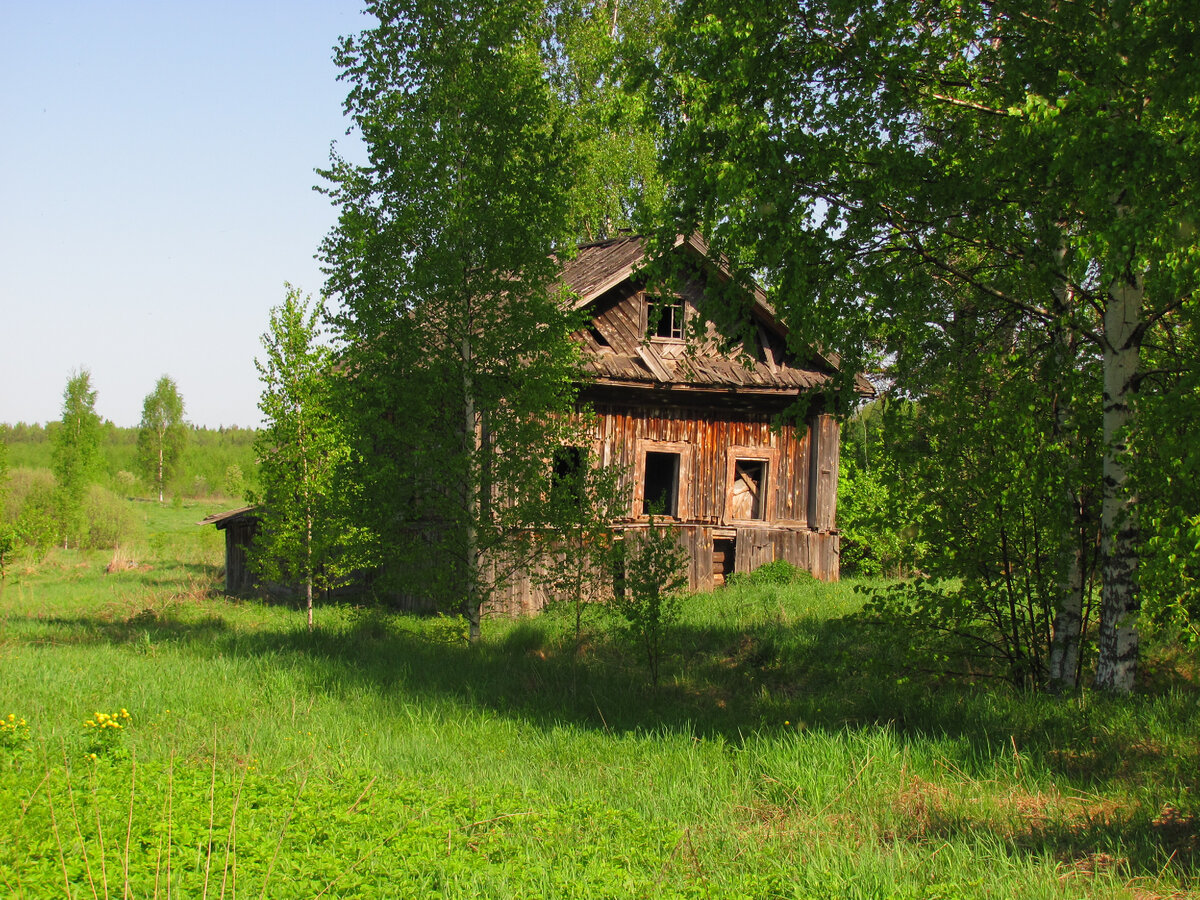 Поселок костромская область. Заброшенные деревни Костромской области. Заброшенное село. Заброшенный дом в деревне. Заброшенные дома в деревнях.