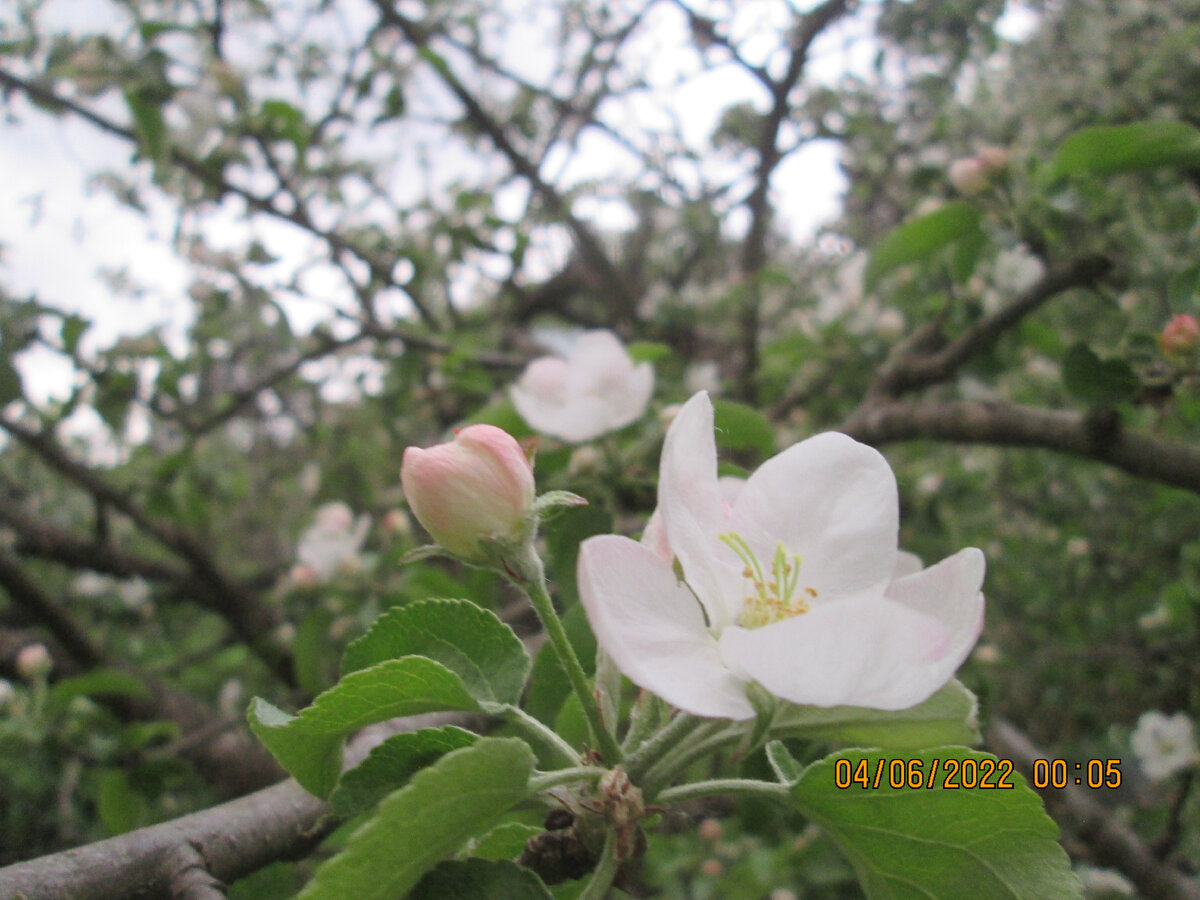 Нежный и хрупкий