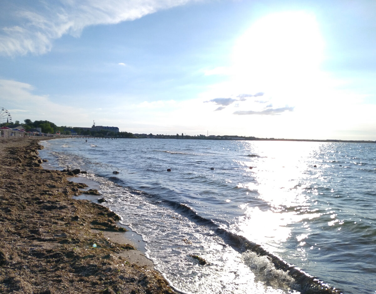 Море успокоилось после шторма.Водоросли  ...