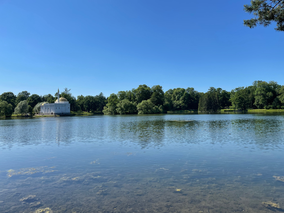 Александрийский сад, Царское село. Вдохновилась Питером, отдохнула, и готова делиться с вами полезным контентом🕊