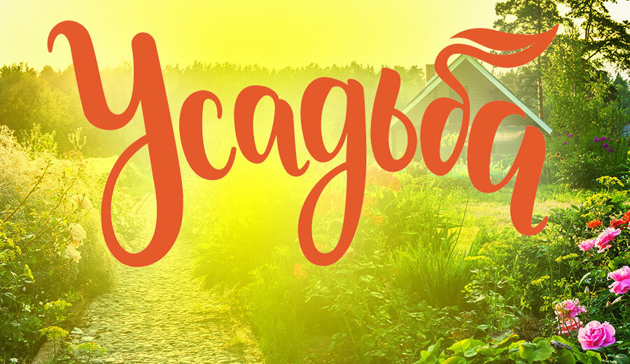 картинка из интернета для привлечения внимания)