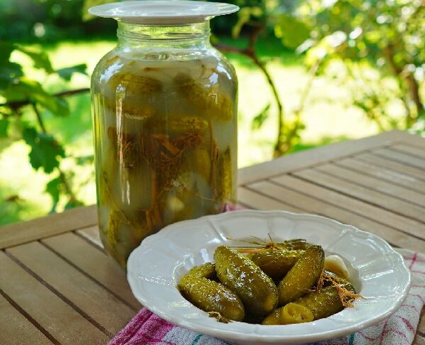 Хрустящие малосольные огурцы с чесноком и укропом | Пикабу