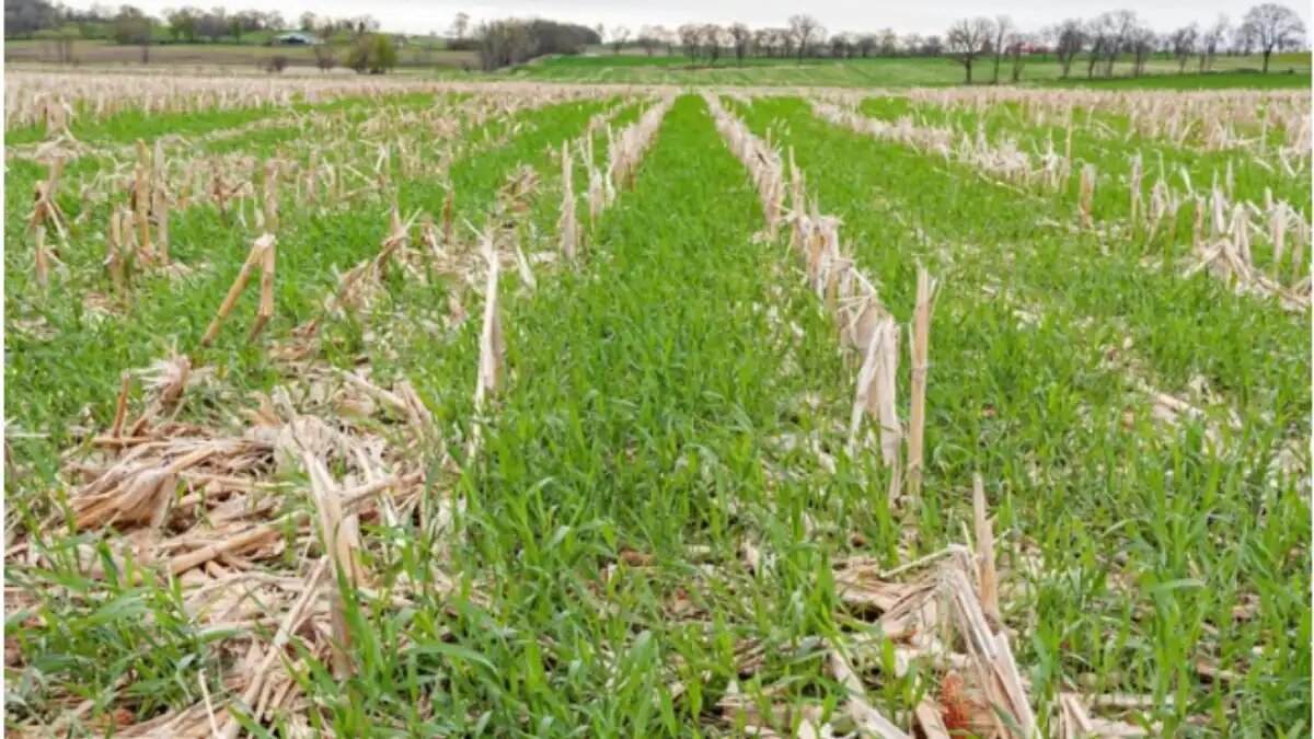 Фото:futurefarming.com