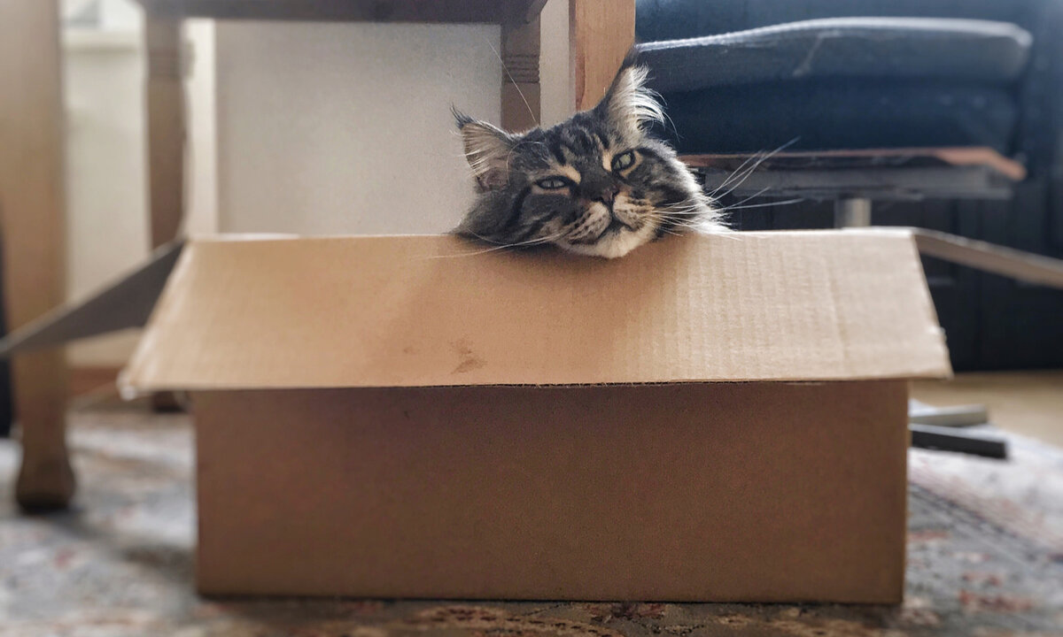 Источник: wi-fi.ru