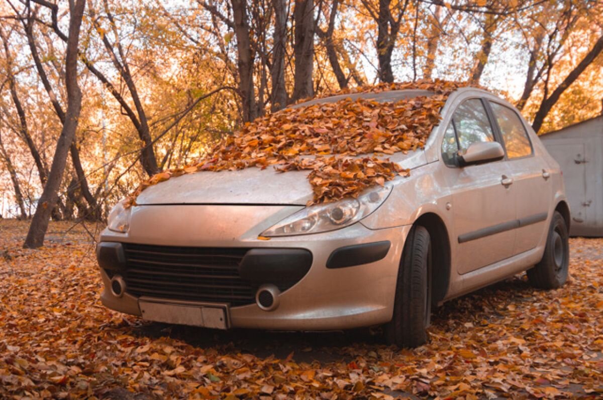    Закисла без дела. Почему надолго нельзя оставлять машину без движения?