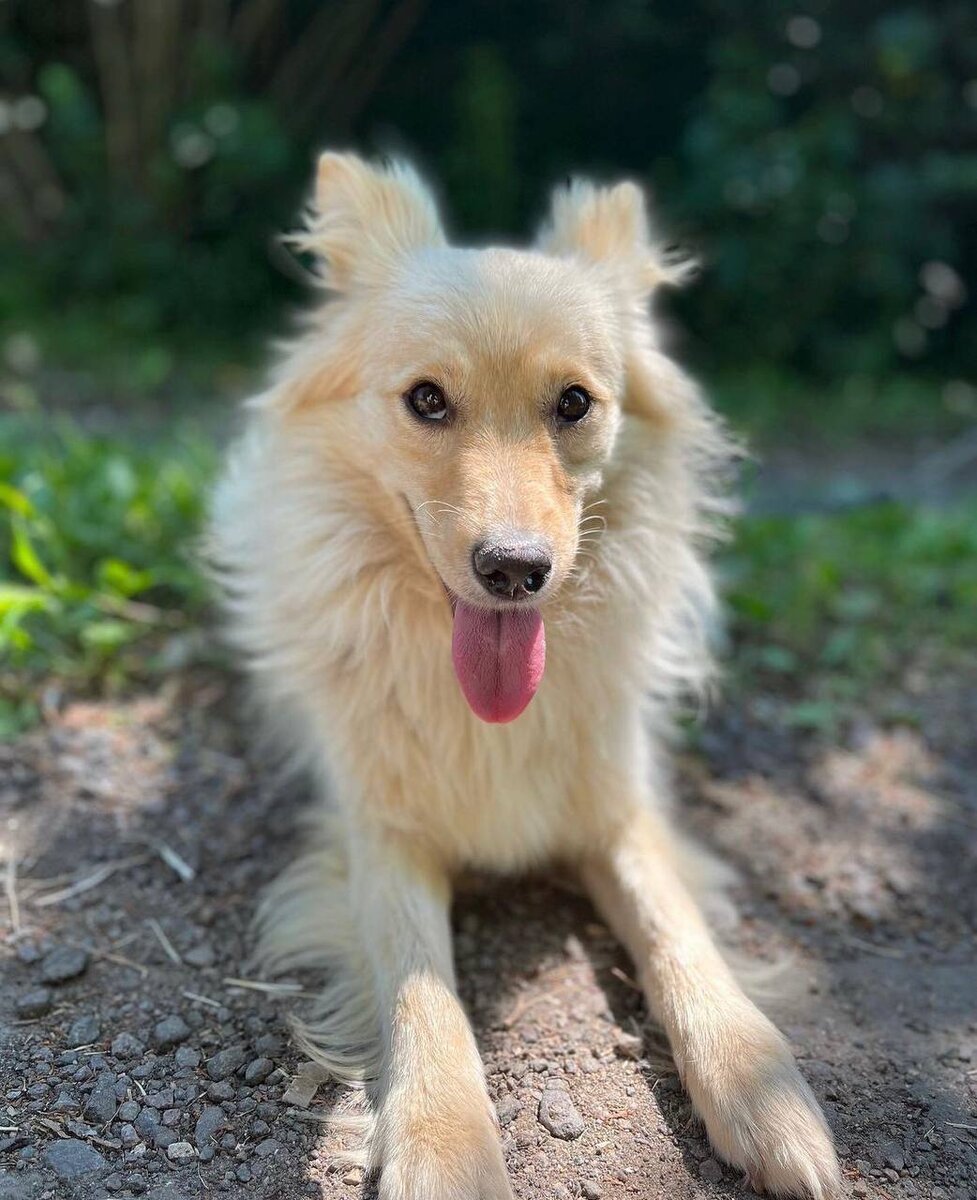    instagram.com/dogberrry admin