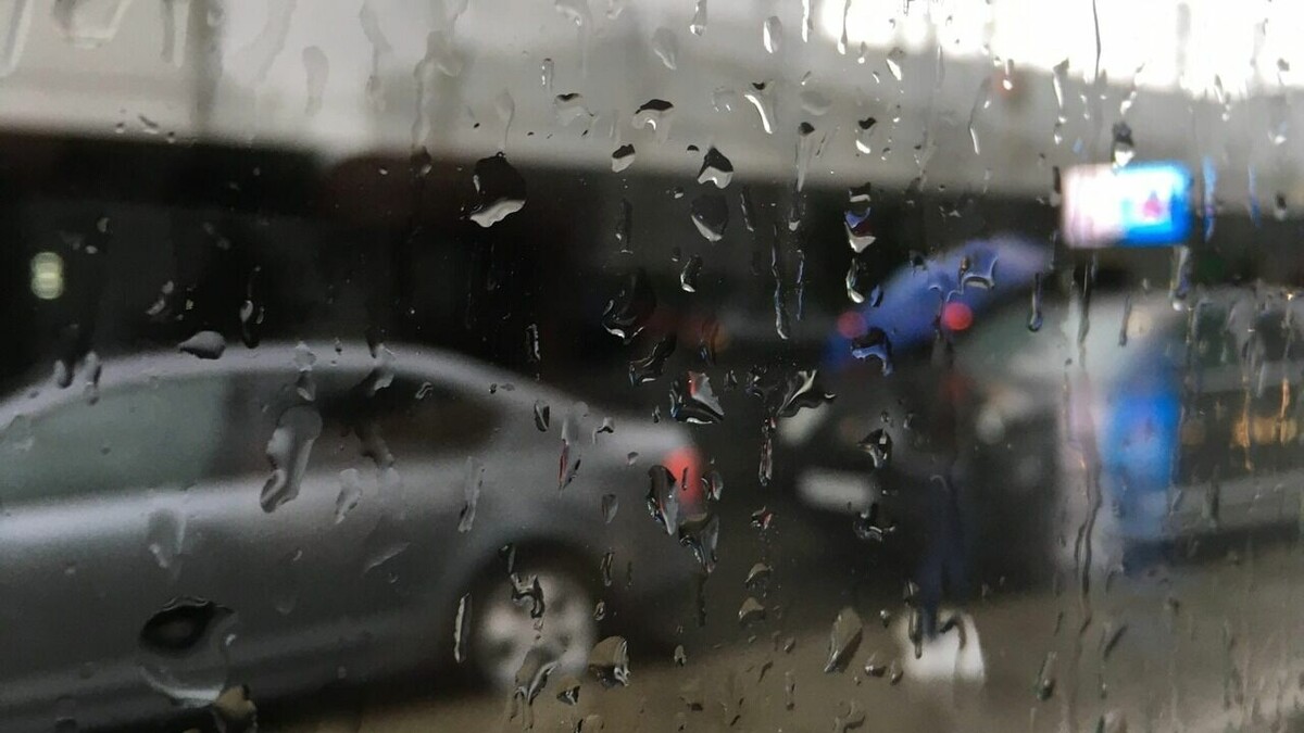     Жителей Татарстана ожидает облачная погода и порывистый южный ветер. Об этом свидетельствуют данные гидрометцентра республики.