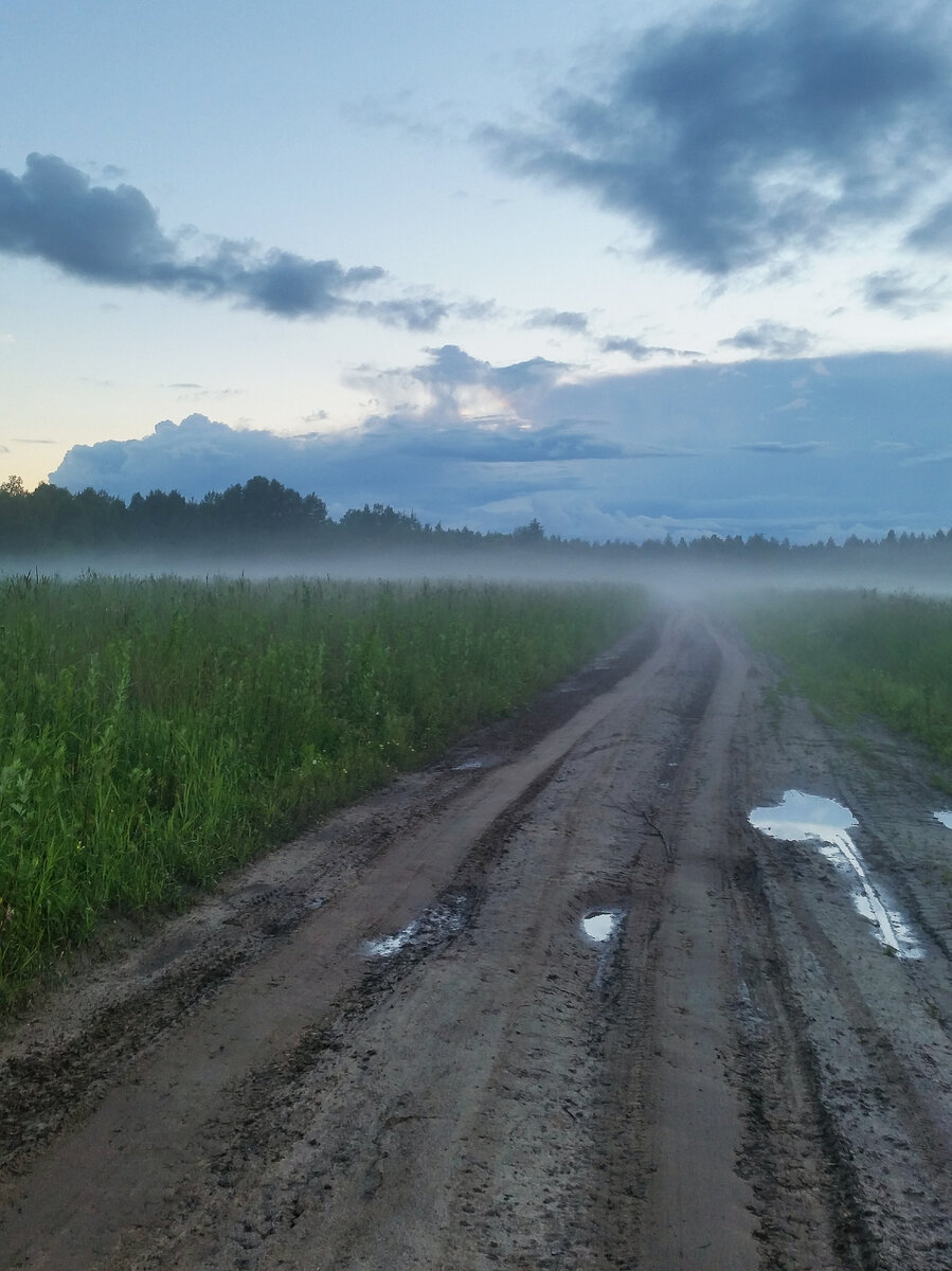 дорога к остановке 2017г.