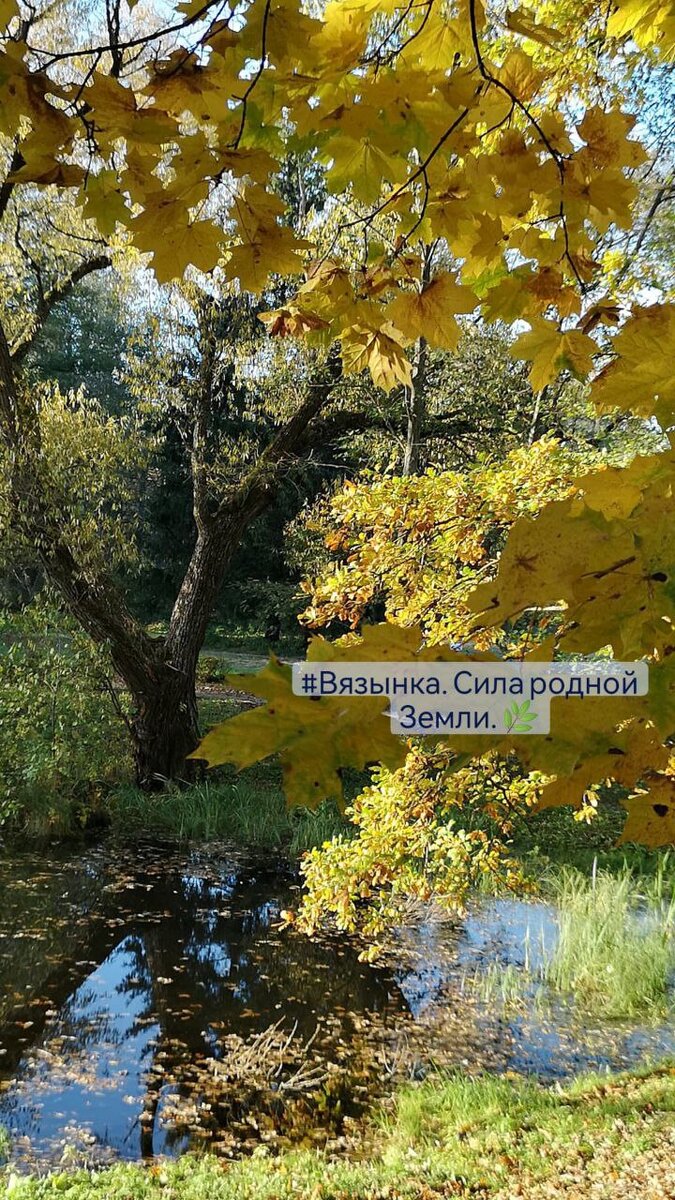 Вызынка. Беларусь