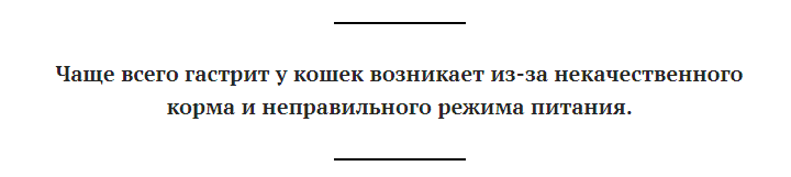 Может ли быть гастрит у кошки? 🙀