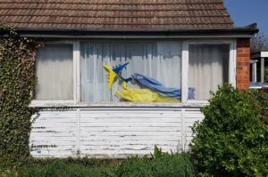   Фото: Nick Hawkes / Unsplash.com Карина Романова
