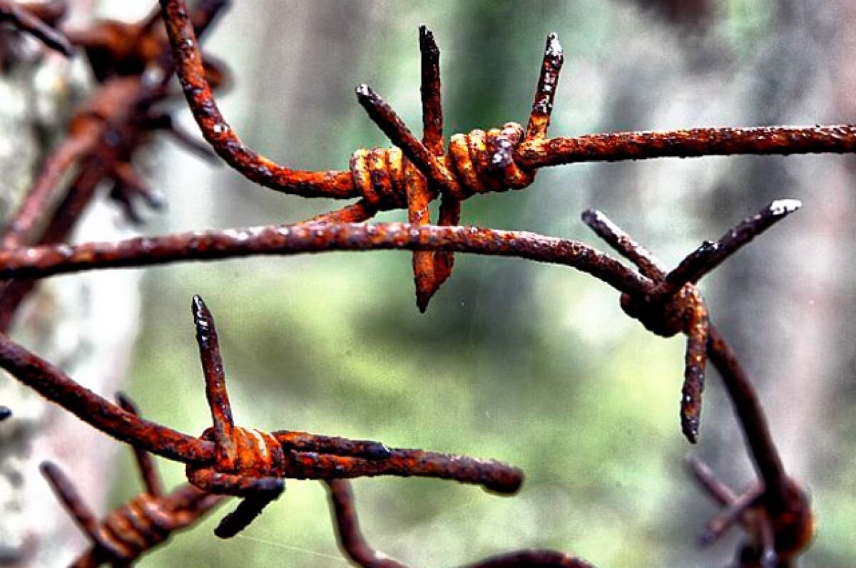    Отказавшийся работать житель Мурманска отправится в колонию