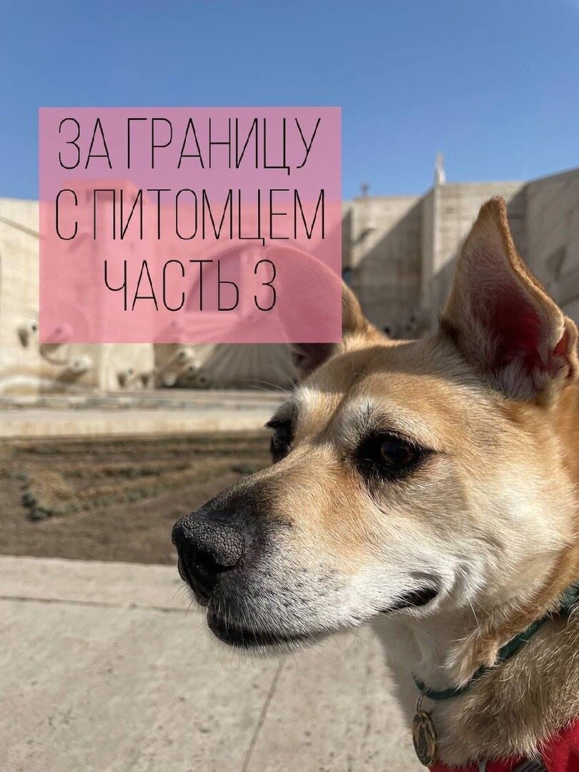 Фото-собственность канала