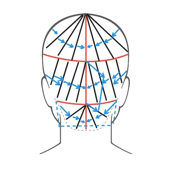 Схема стрижки затылочного блока.