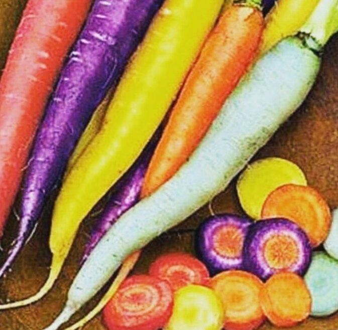 Какого цвета бывает морковь и как окраска влияет на свойства