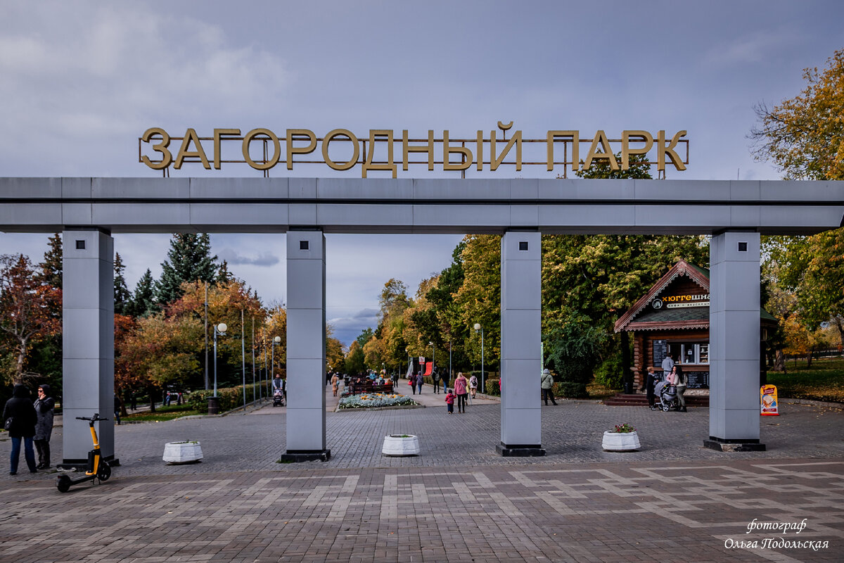 Чаплин загородный парк. Загородный парк новокуйбышевск. Загородный парк в самаре. Кафе чаплин иглино. , 443068.