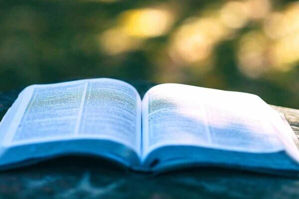    Фото: duma.gov.ru