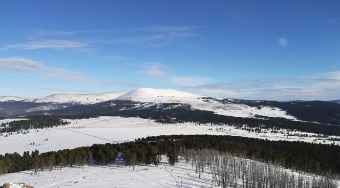    Фото предоставлено МТС